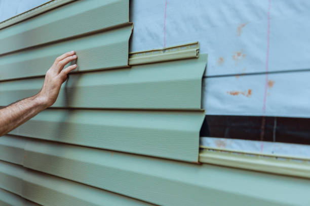 Affordable Siding Repair and Maintenance Services in Stanton, MI